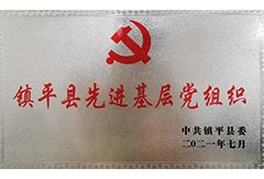 镇平县先进基层党组织